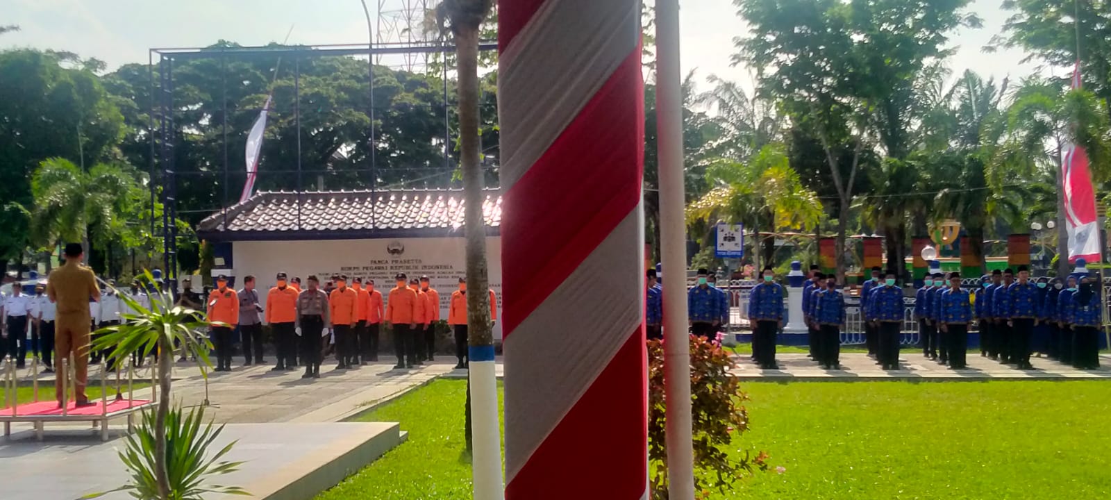 WhatsApp Image 2022 10 12 at 07.56.21